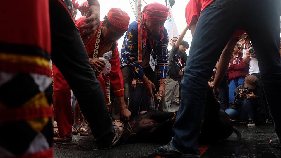 Ritual offering of wild boar to symbolize unity among indigenous peoples against neoliberal globalization and the ongoing APEC summit.